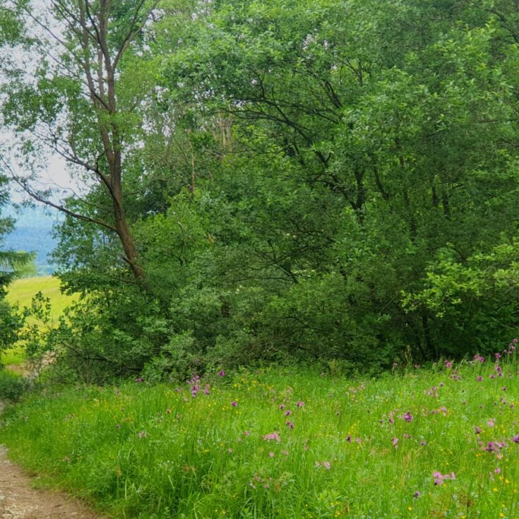 WhatsApp Image 2026-01-27 at 14.12.41