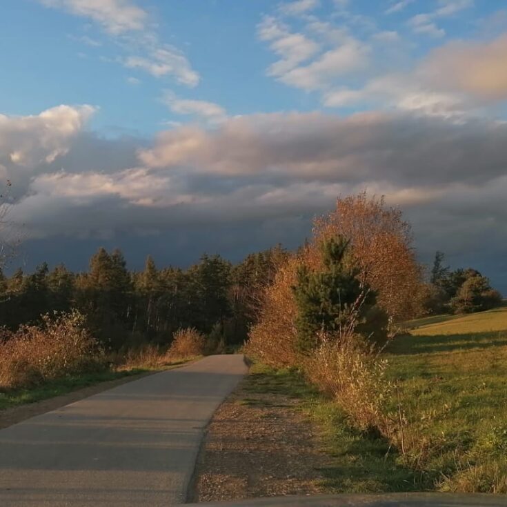 WhatsApp Image 2026-01-27 at 14.12.422