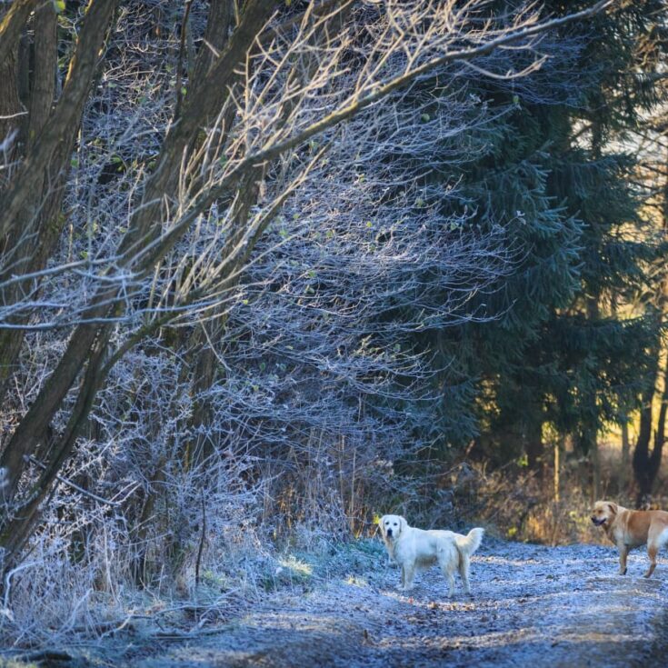 WhatsApp Image 2026-01-27 at 14.122.41