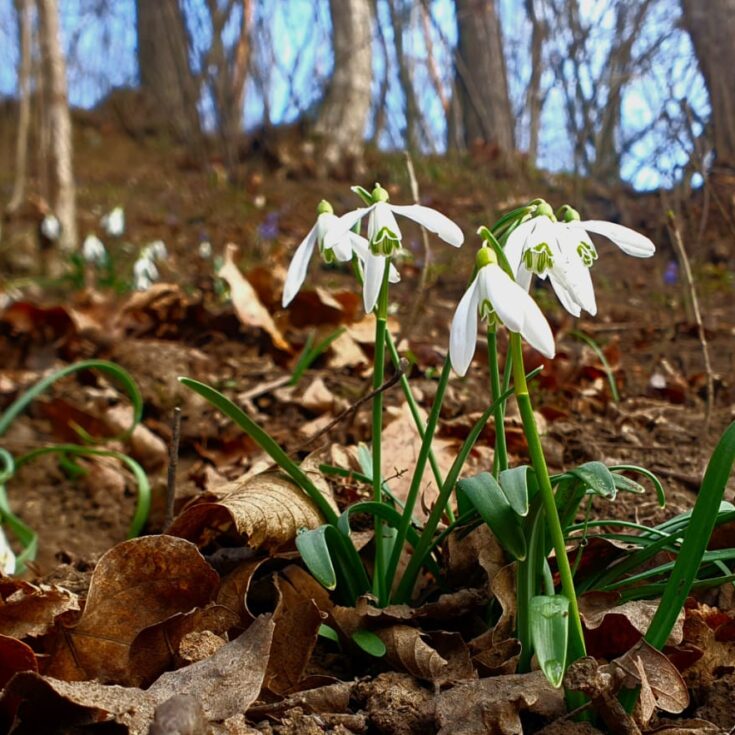 WhatsApp Image 2026-01-27 at 14.154.48