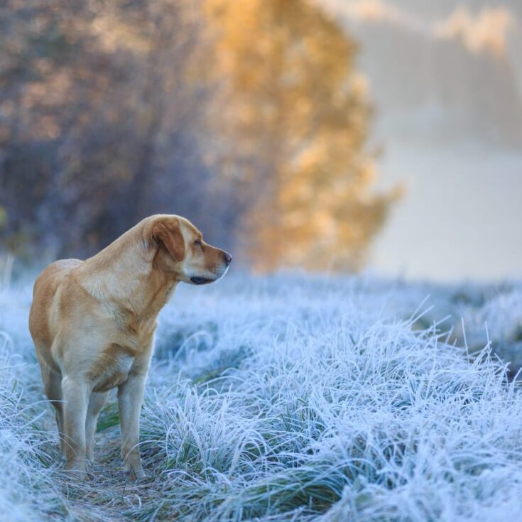 WhatsApp Image 2026-01-27 at 14.154.49