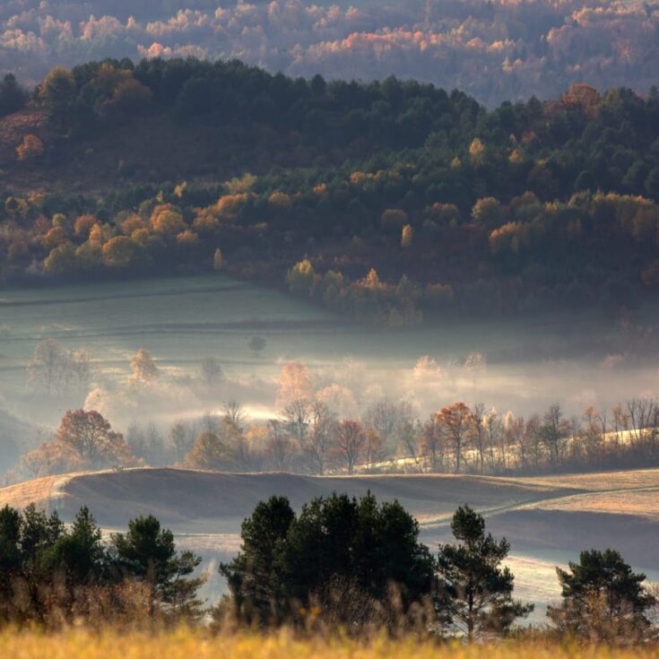 WhatsApp Image 2026-01-27 at 14.215.19