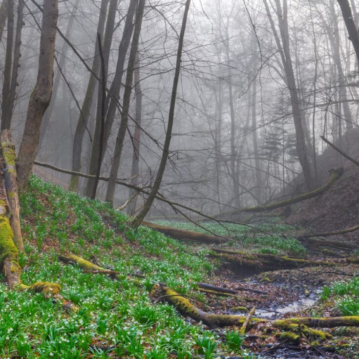 WhatsApp Image 2026-01-27 at 14.25.18