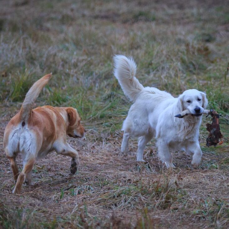 WhatsApp Image 2026-01-27 at 14.54.419