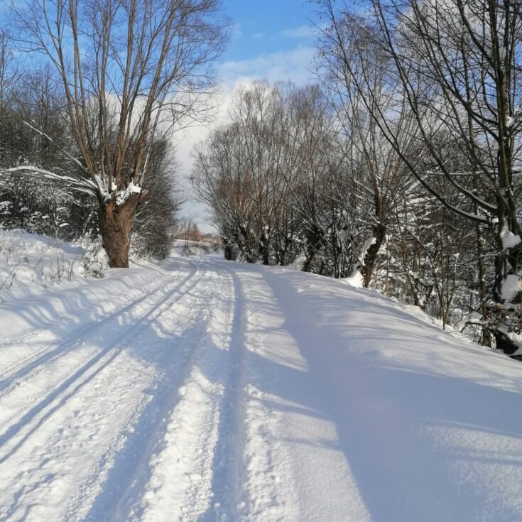 WhatsApp Image 2026-01-27 at 14.58.16