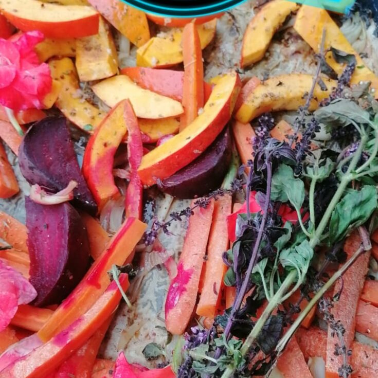 WhatsApp Image 2026-01-27 at 15.13.161