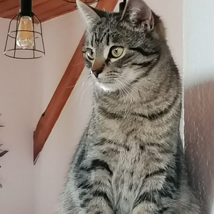 WhatsApp Image 2026-01-27 at 15.32.047